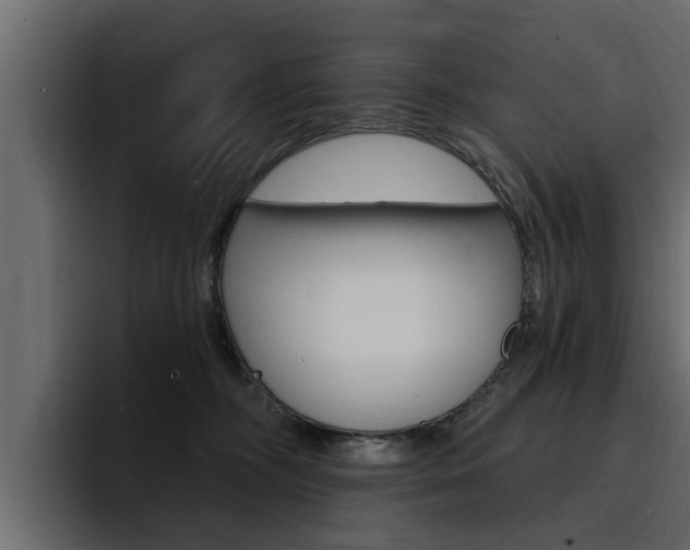 X0000095550326200712140940