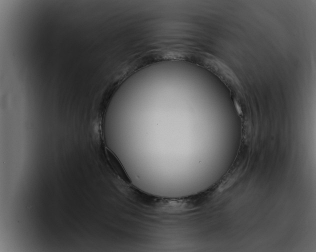 X0000095550329200712140940