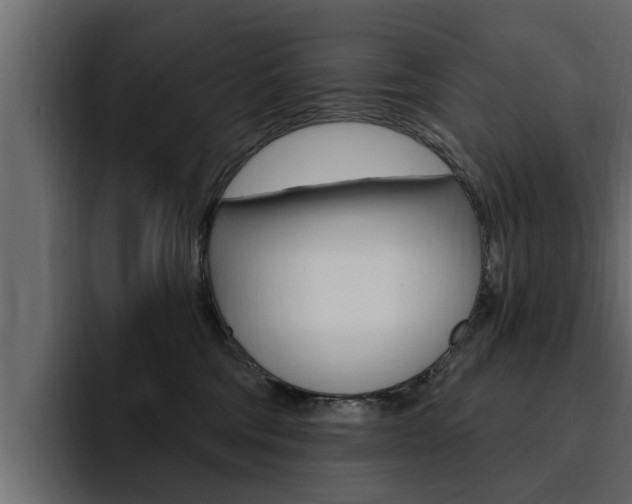 X0000095550330200712140940