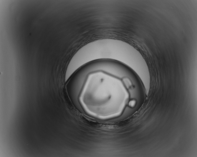 X0000095550332200712140940