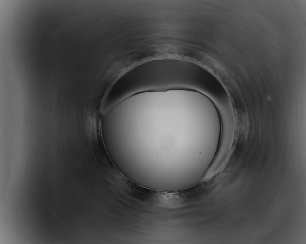 X0000095550333200712140940