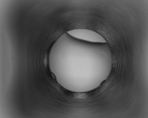 X0000095550334200712140940