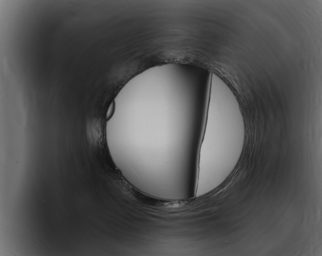 X0000095550335200712140940