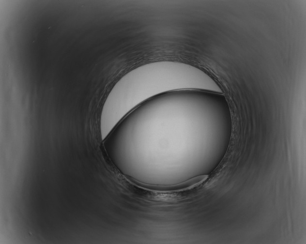 X0000095550336200712140940