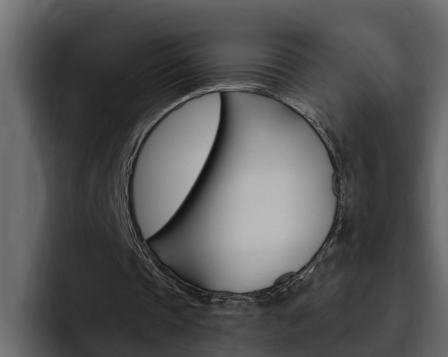 X0000095550337200712140940