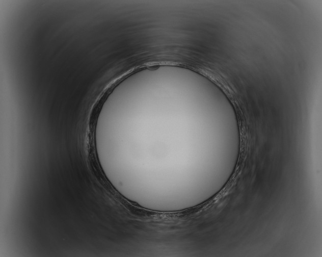 X0000095550338200712140940
