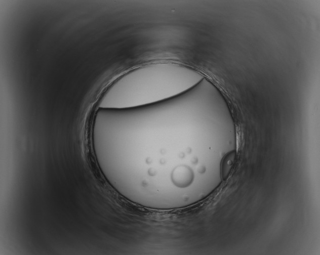 X0000095550339200712140940