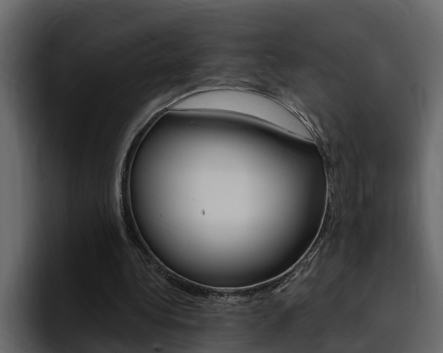 X0000095550340200712140940