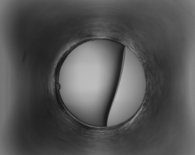 X0000095550342200712140940