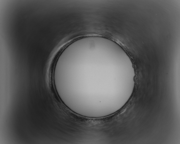 X0000095550343200712140940