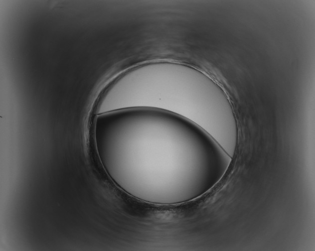 X0000095550344200712140940