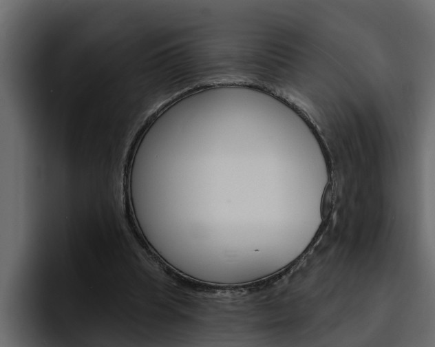 X0000095550345200712140940