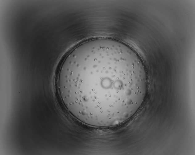 X0000095550346200712140940