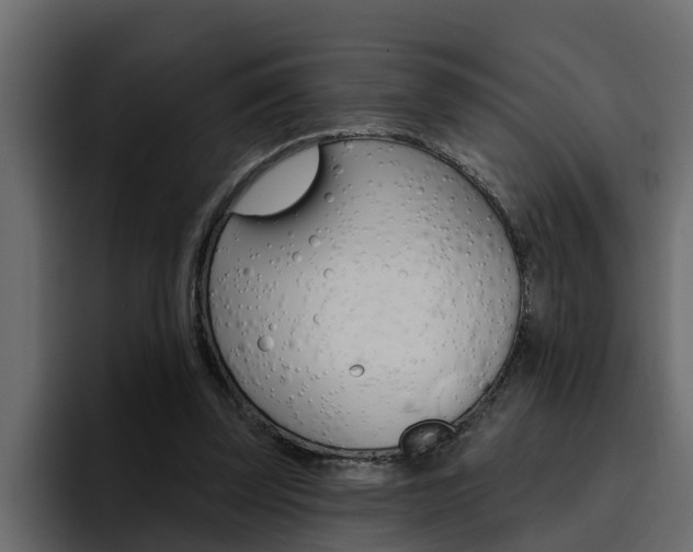 X0000095550347200712140940