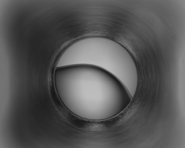 X0000095550348200712140940