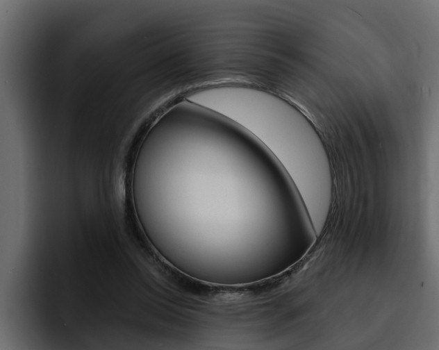 X0000095550350200712140940