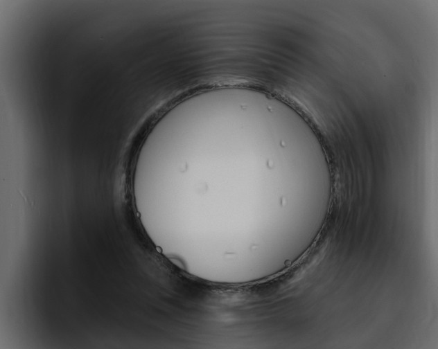 X0000095550351200712140940