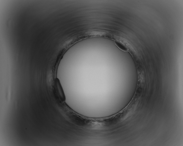 X0000095550352200712140940