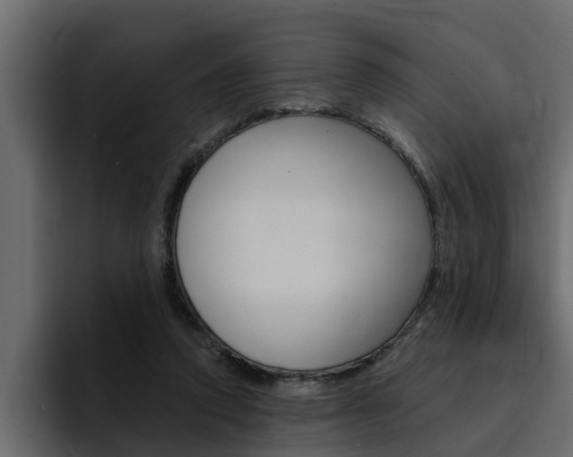 X0000095550354200712140940