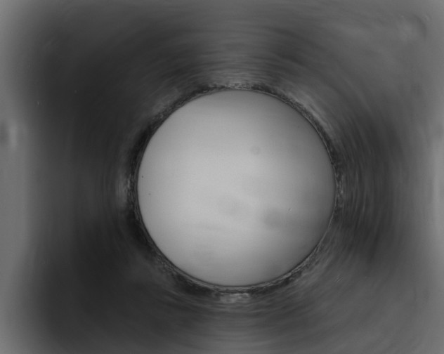 X0000095550355200712140940