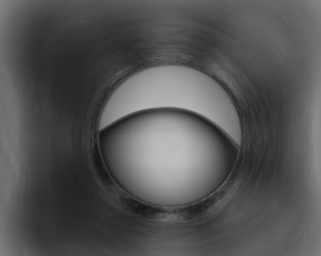 X0000095550356200712140940