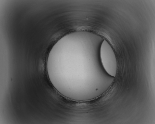 X0000095550357200712140940