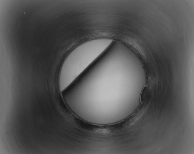 X0000095550358200712140940