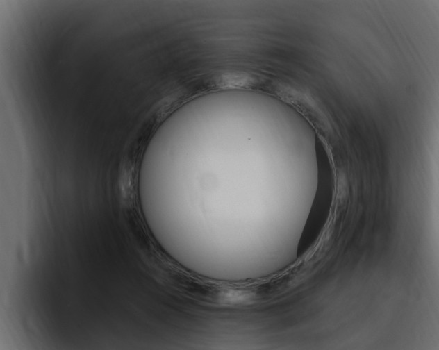 X0000095550360200712140940