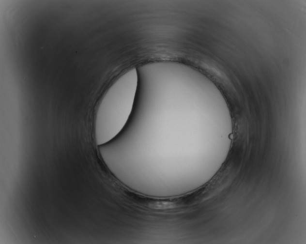 X0000095550361200712140940