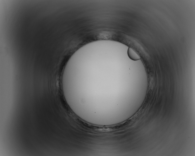X0000095550363200712140940