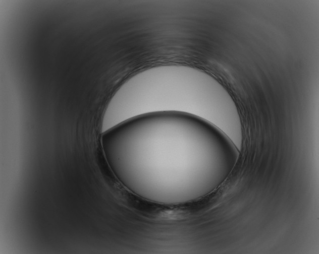 X0000095550364200712140940