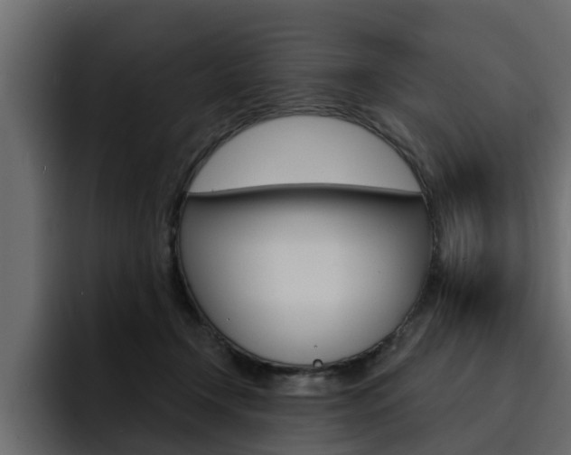 X0000095550366200712140940