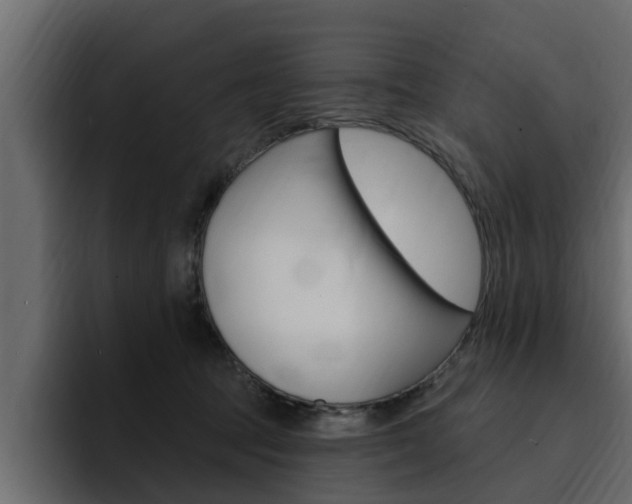 X0000095550369200712140940