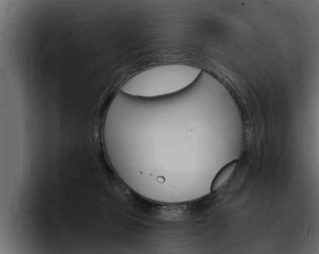 X0000095550373200712140940