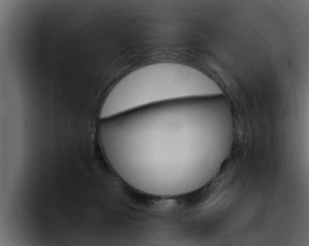 X0000095550374200712140940