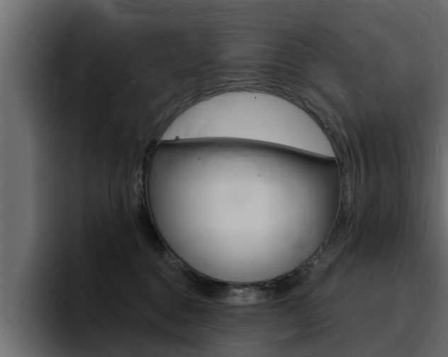 X0000095550376200712140940