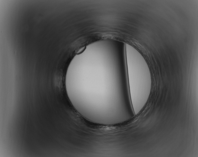 X0000095550379200712140940