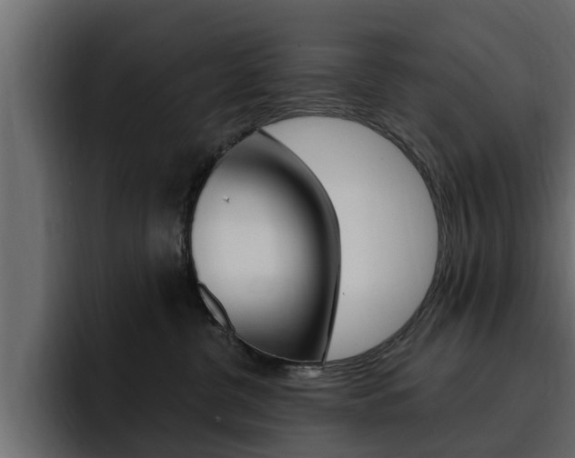 X0000095550380200712140940