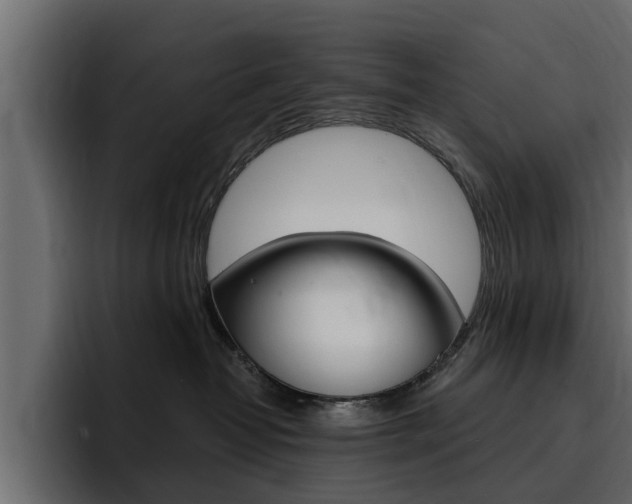 X0000095550382200712140940