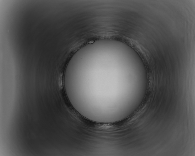 X0000095550383200712140940