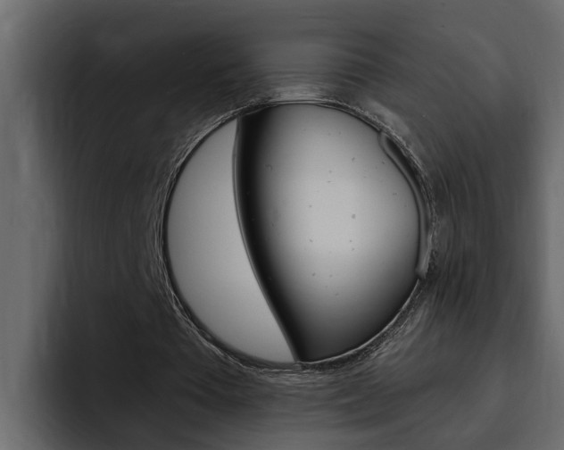X0000095550385200712140940