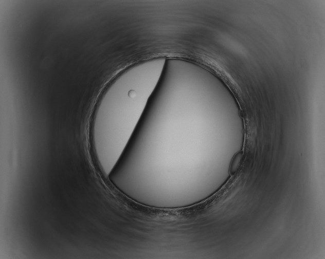 X0000095550386200712140940