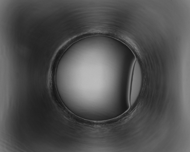 X0000095550388200712140940