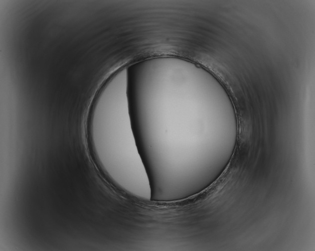 X0000095550390200712140939