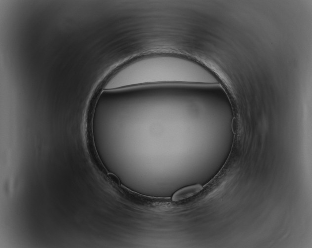 X0000095550391200712140939