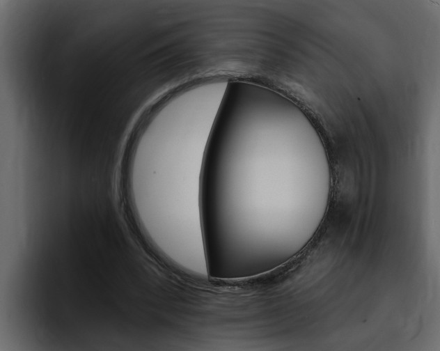 X0000095550392200712140939