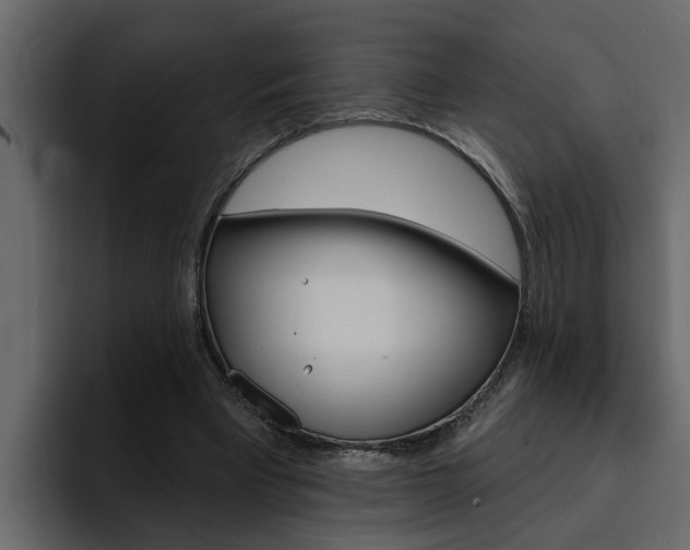 X0000095550393200712140939
