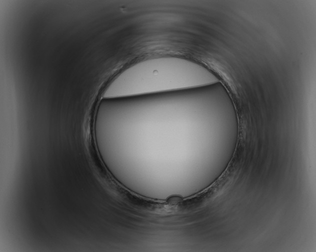 X0000095550398200712140939