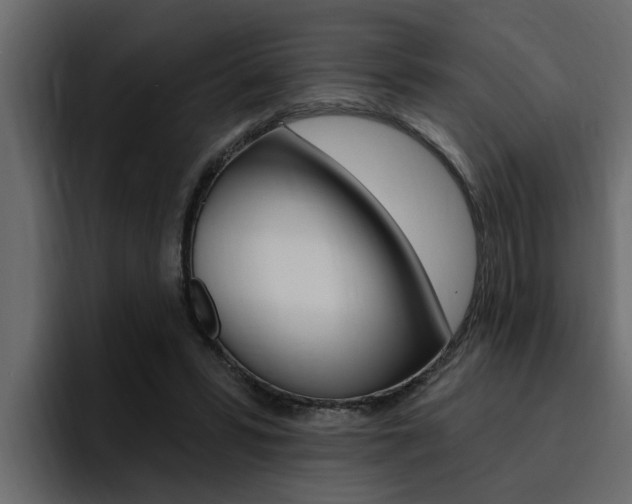 X0000095550399200712140939