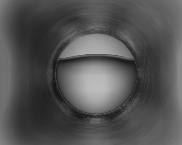 X0000095550400200712140939